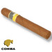 Charuto Cohiba Siglo VI fortaleza, ceara