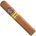 Charuto Montecristo wide edmundo fortaleza, ceará