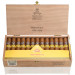 Charuto Montecristo wide edmundo fortaleza, ceará